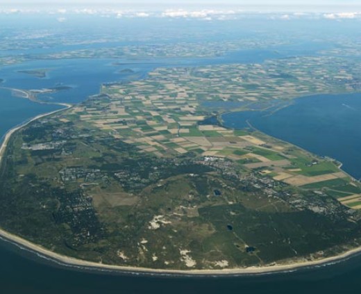 Grote afbeelding